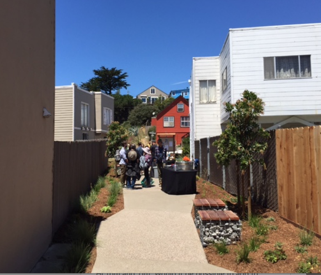 First block of Ridge Lane street park on opening day